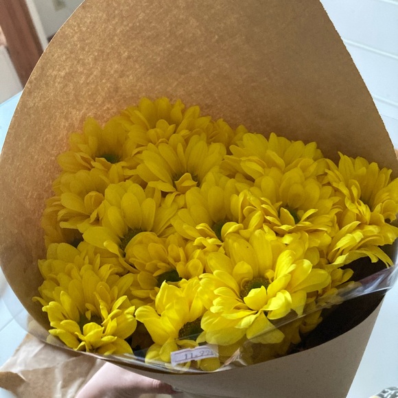 Meet your Posher, Cassie - Picture 1 of 1